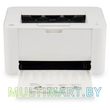 Принтер Digma DHP-2401W (белый) картинка 19
